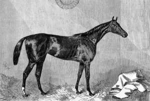 1867 Prints: Hippia, winner of the 1867 Oaks