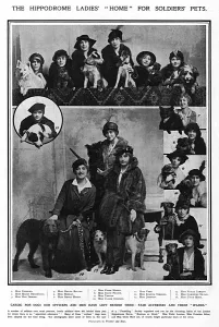 Violet Prints: Hippodrome ladies home for soldiers pets, WW1