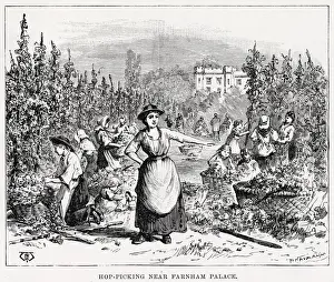 1891 Prints: Hops are picked in Surrey near Farnham Palace and sold at Weyhill Fair. Date: 1891
