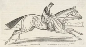 1833 Prints: HORSE BEESWING