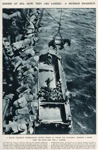 Transported Prints: Horses at sea, using slings WWI