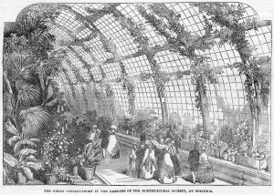 Horticultural Prints: Horticultural Society conservatory, Chiswick, London
