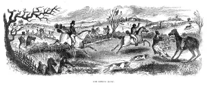 Deer Prints: Hunting / Deer / Epping Fst