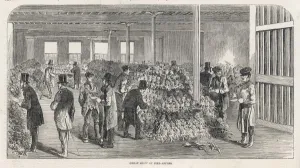 Ware House Prints: Imported Pineapples / 1853