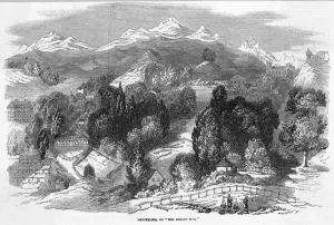 Border Prints: India Darjeeling