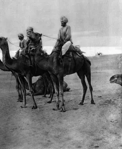 Desert Prints: Indian camel sowars in Egypt during the First World War