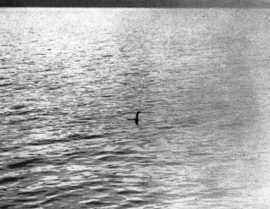 Moving Prints: An infamous image of the Loch Ness Monster