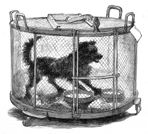 2004 Prints: Inoculated dog in cage