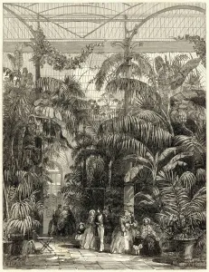 Gardens Prints: Interior of the Great Palm House, Kew Gardens, 1852