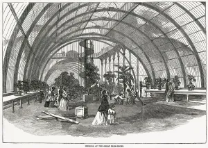 Public Prints: Interior of the Great Palm-House at Royal Gardens. Date: 1848