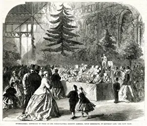 Horticultural Prints: International Exhibition, Horticultural Society Gardens 1865