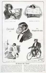 Playing Prints: An Interview with Consul the Chimpanzee