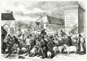Market Prints: Ireland pig fair at Trim, County Meath 1870