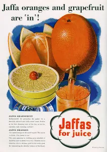 Feb16 Prints: Jaffa oranges and grapefruit advertisement, 1938