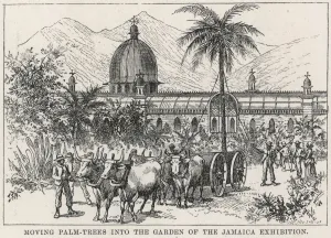 Indies Prints: The Jamaica Exhibition