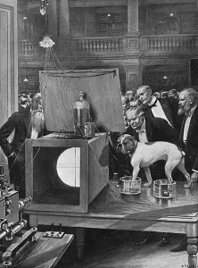 Jimmy Prints: Jimmy the Bulldog at the Royal Society