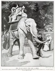 Regent Prints: Jingo the Zoo Elephant Goes to America 1903
