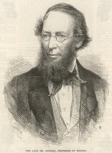 Professor Prints: John Lindley