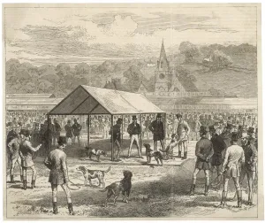 Lincoln Prints: Judging Foxhounds
