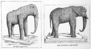 Dec17 Prints: Jumbo the elephant stuffed