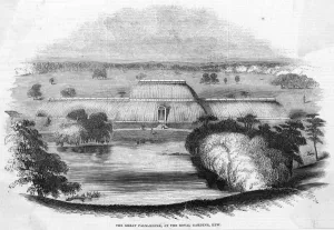 Gardens Prints: Kew Gardens Palm House