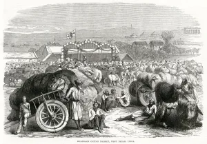 Cart Prints: Khangaon cotton market, India 1870