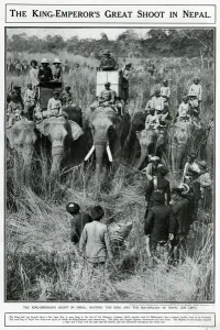 Elephants Prints: King Emperors great shoot in Nepal 1911