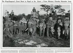 Elephants Prints: King George V shooting expedition 1911