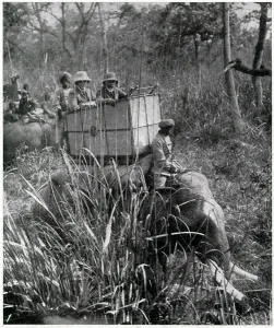 Hunt Prints: King George V shooting expedition 1911