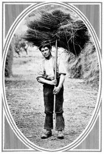 Featured Prints: The Labourer and his hire - types from agricultural counties