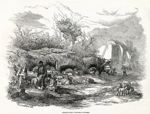 Sheep Prints: LAMBING 1846