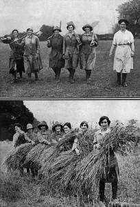 Harvest Prints: Land Girls bringing in the harvest