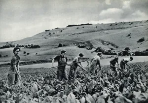 Dungarees Prints: Land girls in training 1939