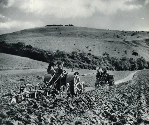 Machinery Prints: Land girls in training 1939