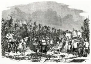 Houses Prints: Landscape Scene of Hop Picking 1858