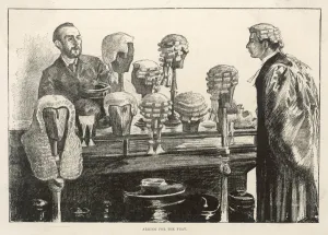 Lawyer Prints: Lawyer / Fashionable Wigs