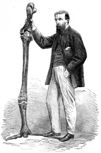 Bones Prints: Leg Bones of the Dinornis Maximus, 1865