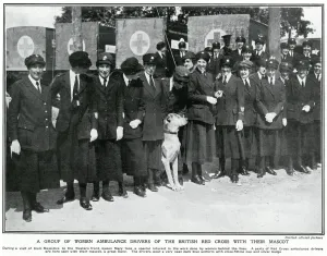 Hospital Prints: Line of female ambulance drivers 1918
