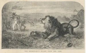 Lion Prints: Livingstone & Lion