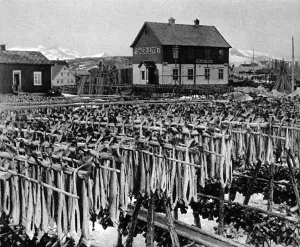 Norway Prints: The Lofoten Islands, Norway, 1941