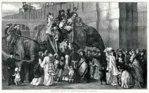 Elephants Prints: London Zoo