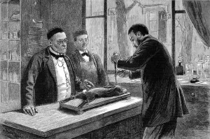 Cattle Prints: Louis Pasteur experimenting on a chloroformed rabbit