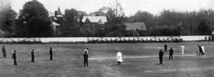 Fred Prints: Lounge Suit County Cricket