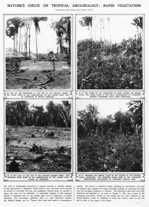 Pla Nts Prints: Lubaantun archaeology - rapid tropical growth