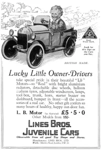 Owner Prints: Lucky Little Owner-Drivers