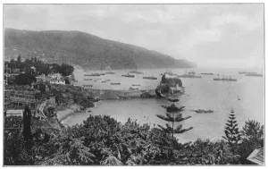 Madeira Prints: Madeira Bay