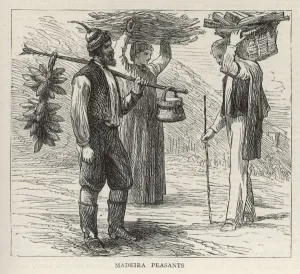 Madeira Prints: Madeira Peasants