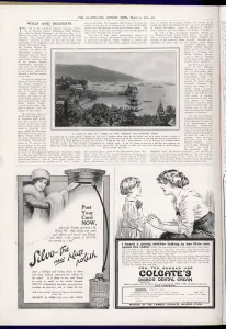 Plate Prints: Madeira Picture Page
