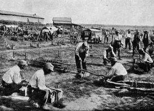 13th Prints: Making barbed wire entanglements