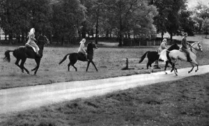 Horse Back Prints: Members of the Royal Family on horseback